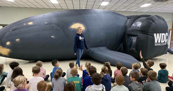Educator stands in front of a grey, inflatable whale. Young school children sit facing her and some raise their hands to ask a question.