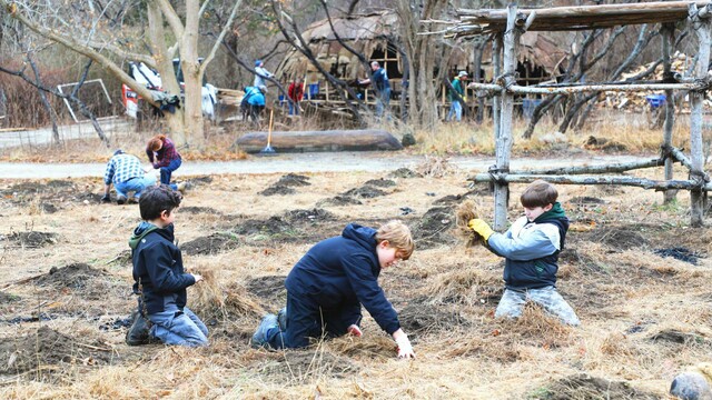 Three boys weed planting field in front of Wetu on Historic Patuxet Homesite.