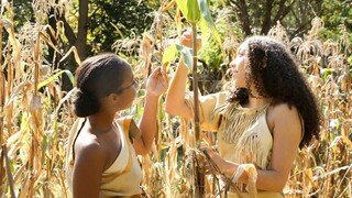 Two young Wampanoag women dressed in regalia check on growing corn at the Historic Patuxet Homesite.