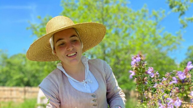 A Pilgrim woman in a straw hat and purple jacket picks purple sage in Plymouth Colony.