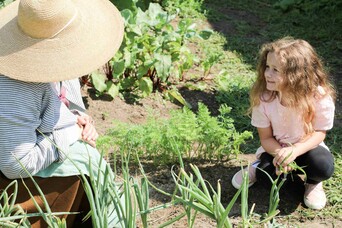 A young girl helps a Pilgrim woman weed her garden.