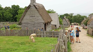 English village sheep guests water view