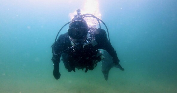 Scuba diver under water