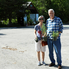 Plant sale customers purchase parking lot