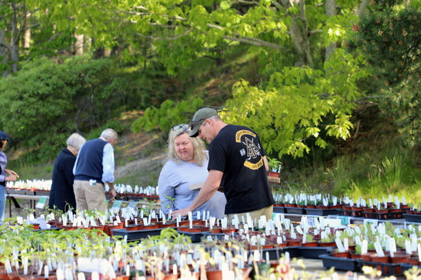 Plant sale customers shopping