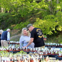 Plant sale customers shopping