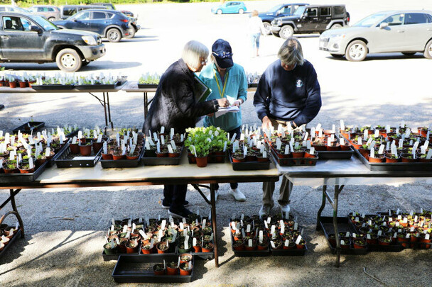Plant sale volunteers plant tables