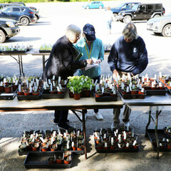 Plant sale volunteers plant tables