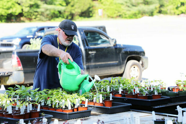 Plant sale volunteer watering