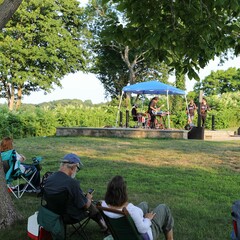 Guests sitting tree shade the groovalottos perform eel river stage