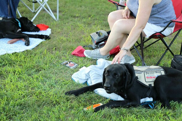 Service dog indigenous voices series concert