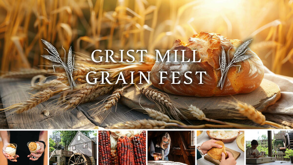 Grain Fest Web Banner