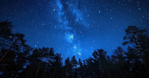 Winter Sky Stars Adobe Stock 877223710