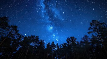 Winter Sky Stars Adobe Stock 877223710