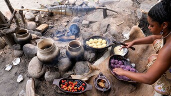 Photography request plimoth patuxet