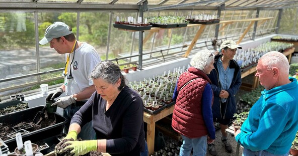 Plimoth patuxet garden program