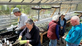 Plimoth patuxet garden program