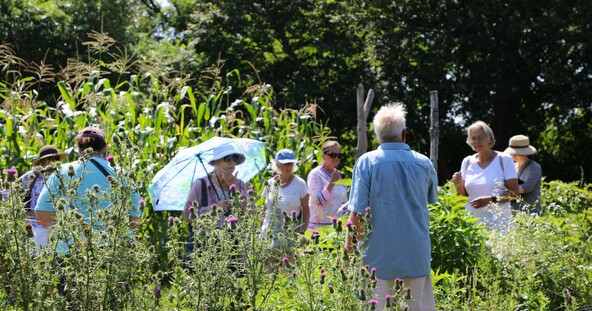 Garden tour plimoth patuxet