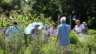 Garden tour plimoth patuxet