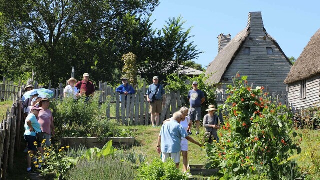A year in a gardeners life summer