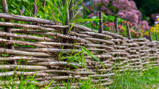 Wattle fence garden