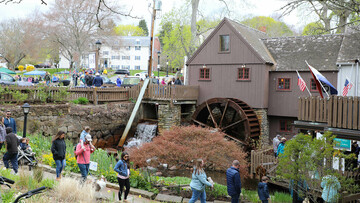 Herring run grist mill guests