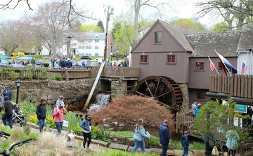 Herring run grist mill guests