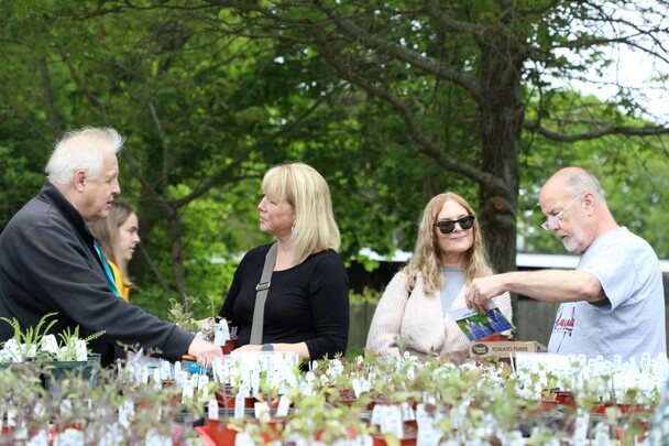 Horticulturist speaks with shoppers at plant sale