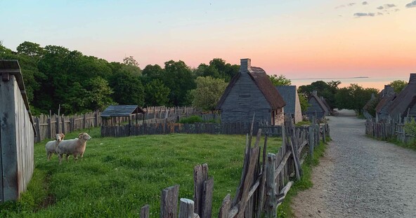 English village sunrise sheep bay view