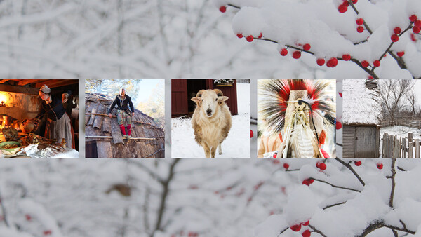 Winter Homepage Slider 1