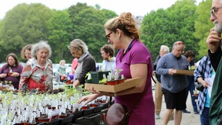 A woman holds a cardboard box filled with seedlings and she examines additional items to buy at a crowded plant sale.