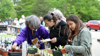 Three women examine seedlings at a plant sale.