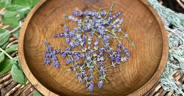 Purple flowers in wooden bowl