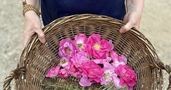 basket-with-pink-roses