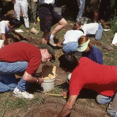 Several archeologists are in a field where some actively dig and others mill about. Multiple square shaped holes are in the ground.