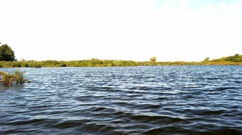 waves on blue river with green trees in the distance