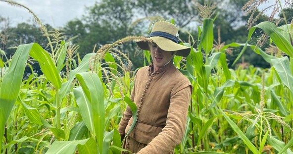 Pilgrim corn planting garden