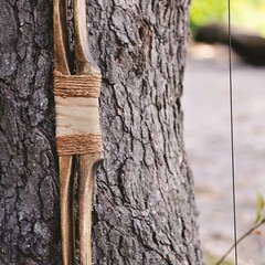 Wooden bow rests against a gray tree trunk