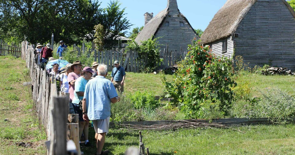 Plimoth Patuxet Museums | Behind the Scenes at the Greenhouse