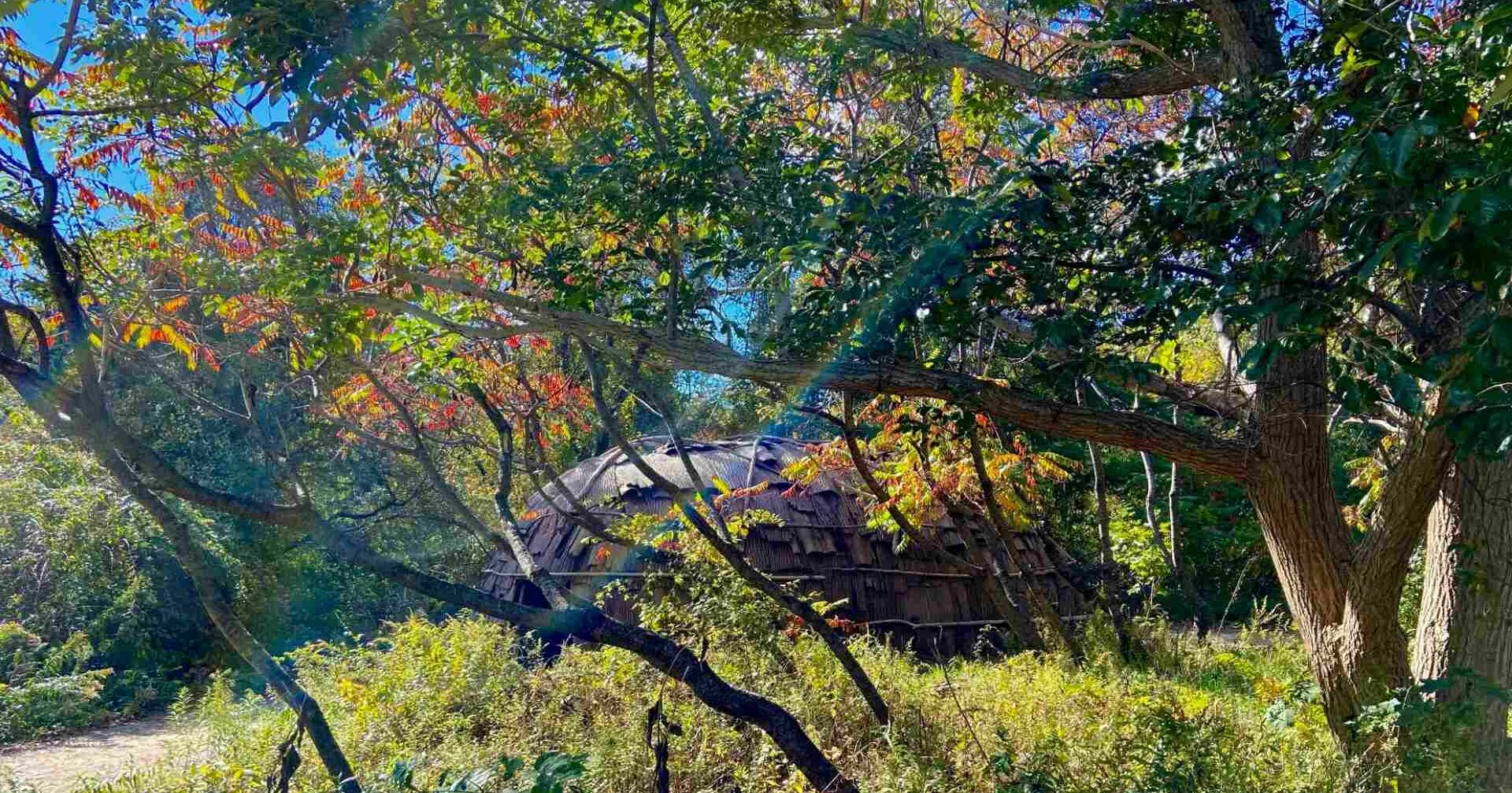 Wetu through trees with rainbow on the Historic Patuxet Homesite