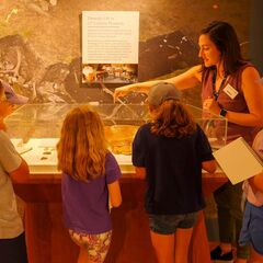 Campers museum gallery