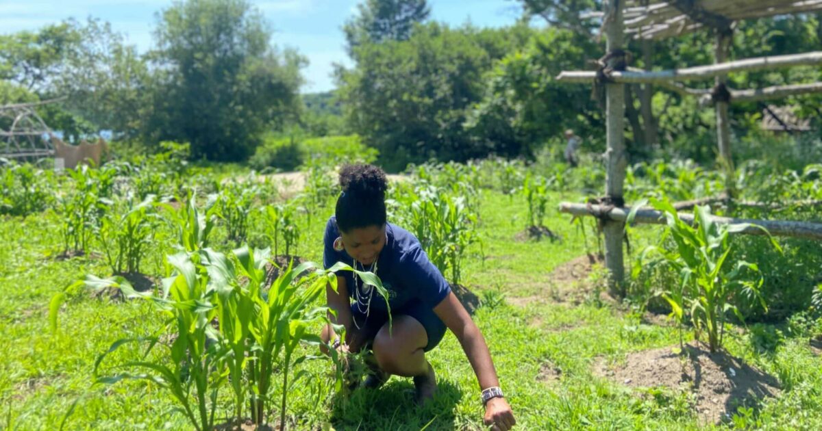 Plimoth Patuxet Museums Homeschool Adventure Make a Garden Grow